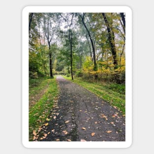 Late September Morning New England Nature Walk - autumn leaves Sticker